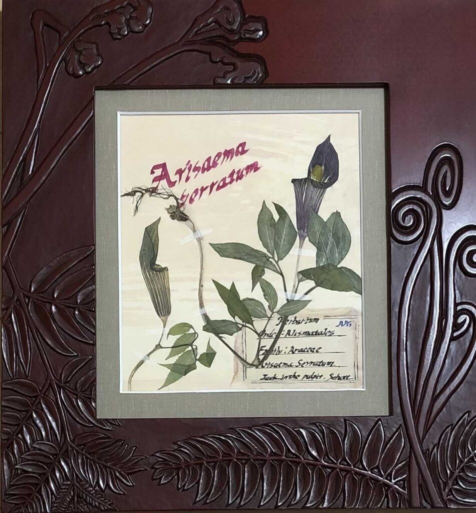叙序圓ギャラリーvol.27 押し花作品『Herbarium』